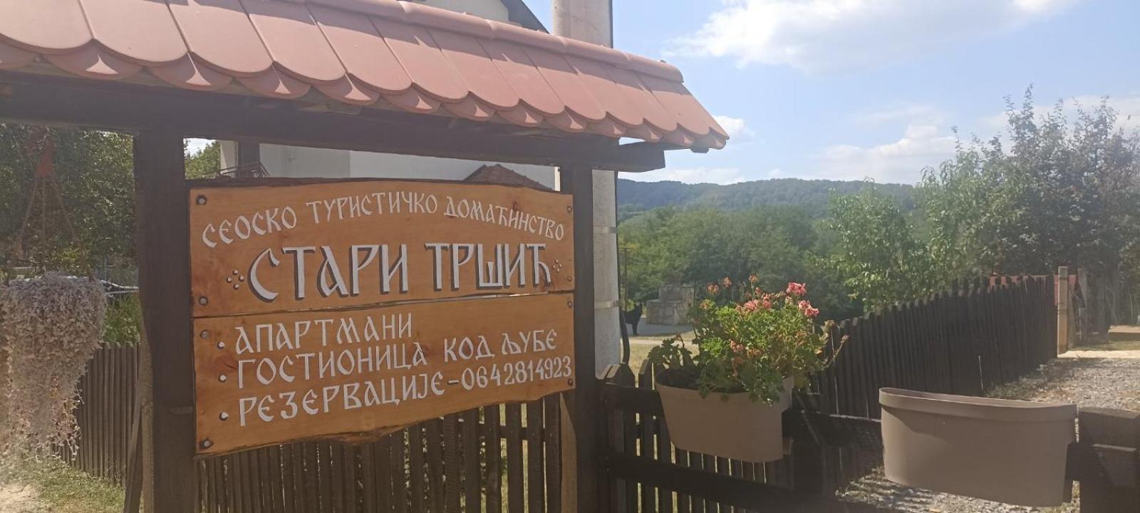 Апартаменти Stari Trsic Екстер'єр фото